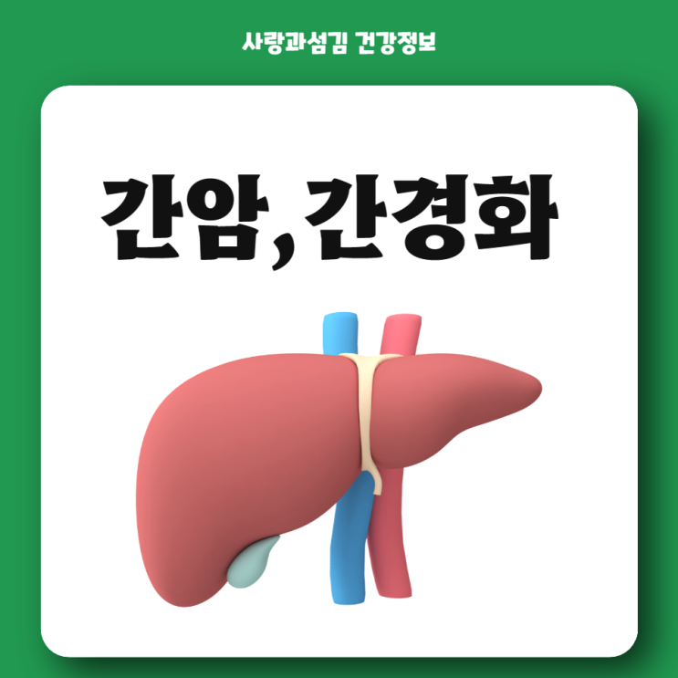 간 안좋을때 증상 간암 증상 간경화 초기증상 간에 좋은 음식 간 안좋을때 증상 간암 증상 간경화 초기증상 간에 좋은 음식