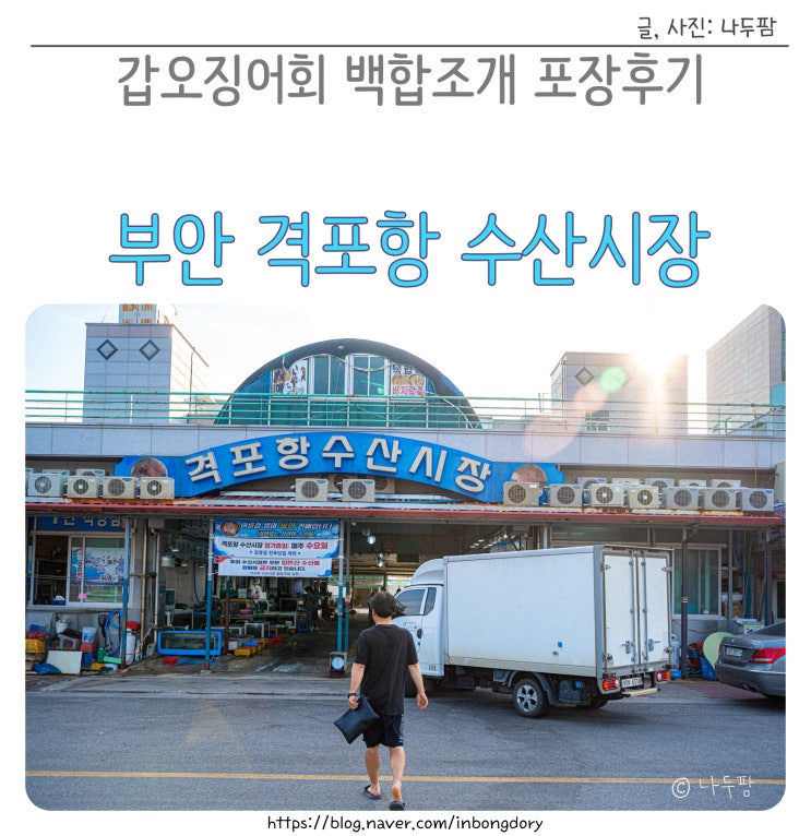  부안 격포항 수산시장 갑오징어회 백합조개 포장후기