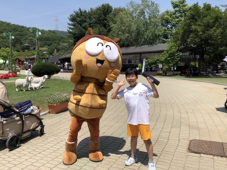  용인 곤충페스티벌 체험, 행사, 이벤트 정보