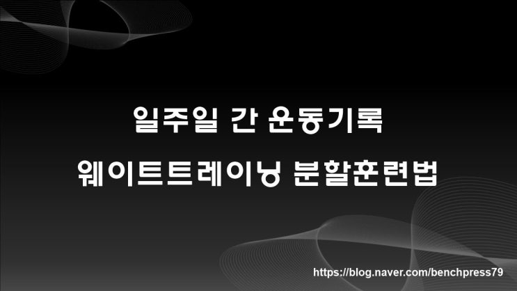  일주일 운동기록, 웨이트 트레이닝 분할훈련법