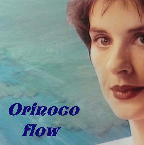  [노래 | 가사 | 해석] Orinoco Flow (1988) | Enya