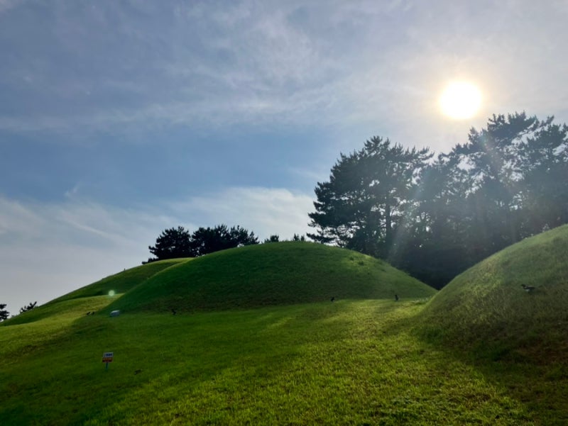 [부산/연제구] 배산 등산코스(연제고등학교->정상->연산동고분군->연동시장). 초보코스. 추천코스.서면에서 배산가는법 ...