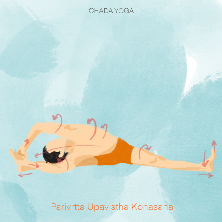 파리브리타 우파비스타 코나아사나 (Parivrtta Upavistha Konasana)