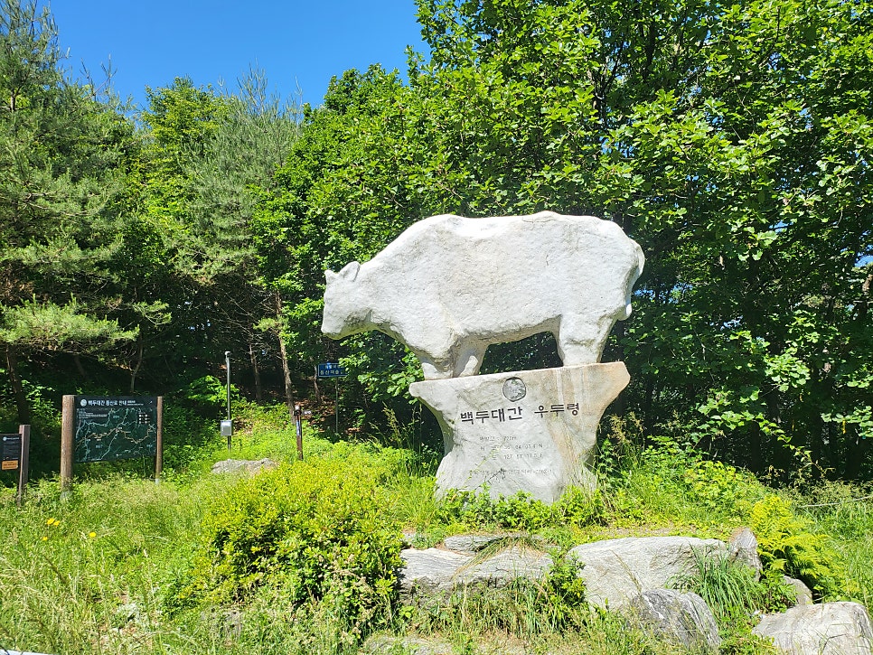 삼마골 사진 3