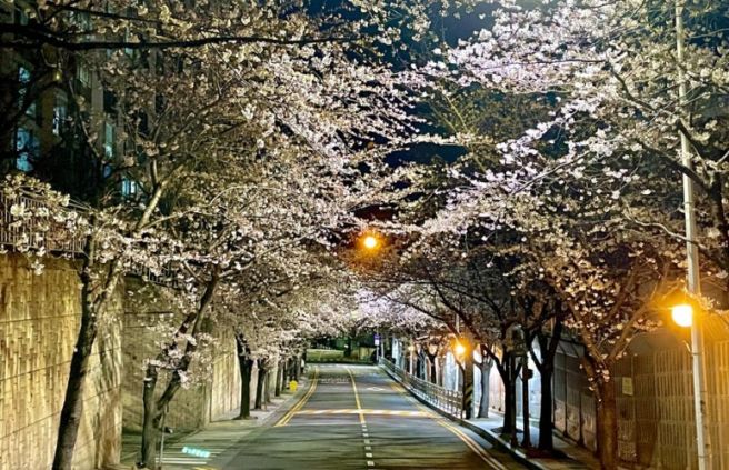   연인간 가스라이팅! 어떻게 골라내고, 그 악연의 영원한 손절??