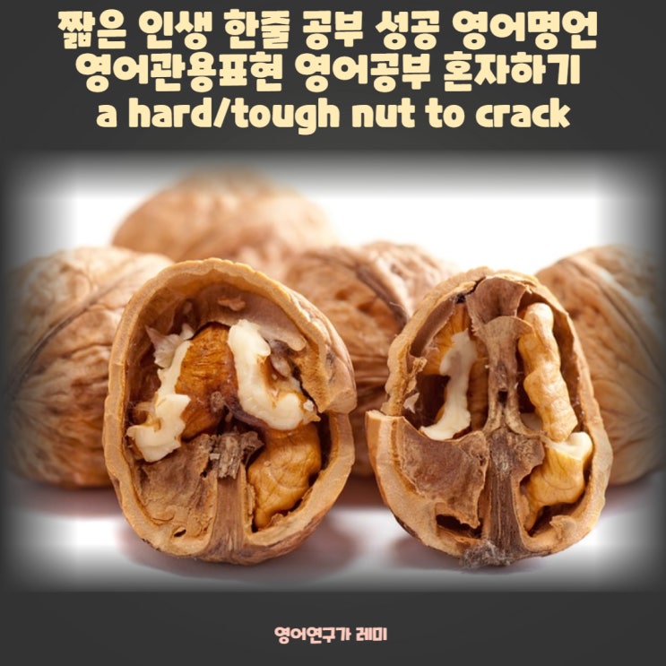 짧은 인생 한줄 공부 성공 영어명언 영어관용표현 영어공부 혼자하기 a hard/tough nut to crack