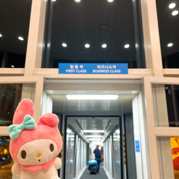  호주 시드니 4박 5일 <준비 과정> : 이보다 더 완벽할 수는 없다...! 라고 P가 말합니다..