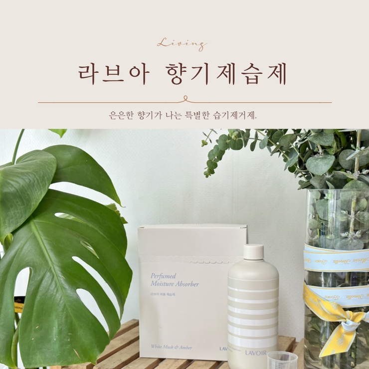  라브아 향기제습제로 향긋하게 습기제거하기
