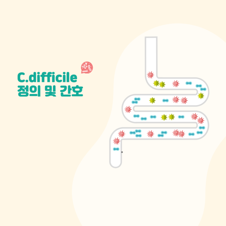  Clostridium difficile(클로스트리디움, C.difficile), CDI의  정의, 원인, 격리기준, 약물 치료방법에 대해