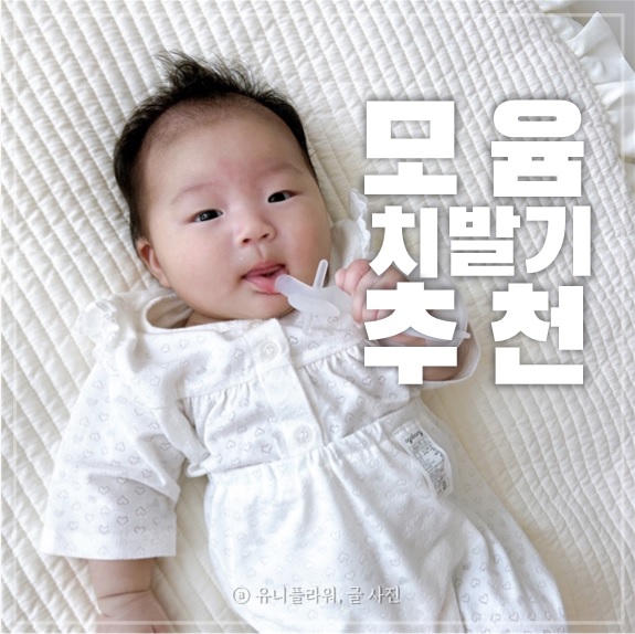  열탕소독 가능한 국민치발기 모윰 코끼리 포니 치발기 추천