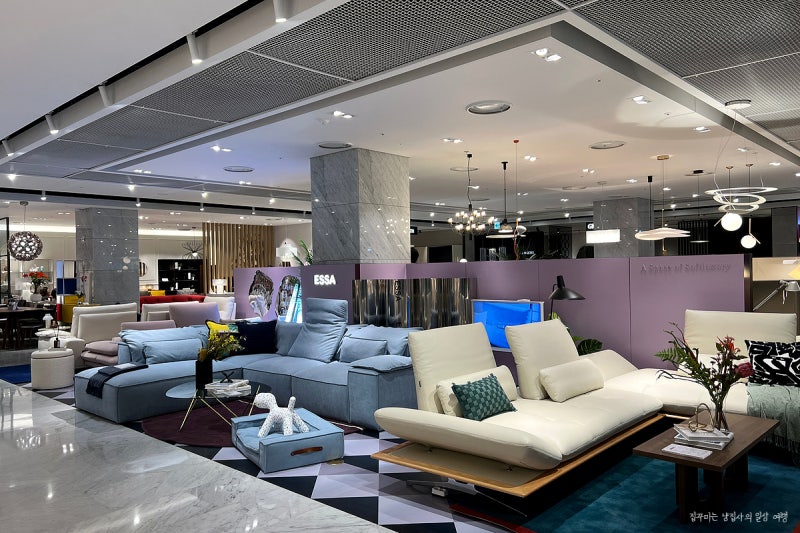 Park Seo-joon Sofa Essa (ESSA): Recommended at Hyundai Department Store Trade Center for Great Benefits