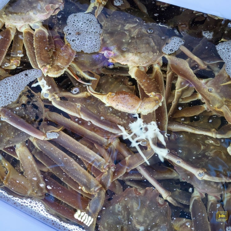 포항영일대맛집 영일대 미남포차에서 부담 없이 푸짐하게 즐겼어요