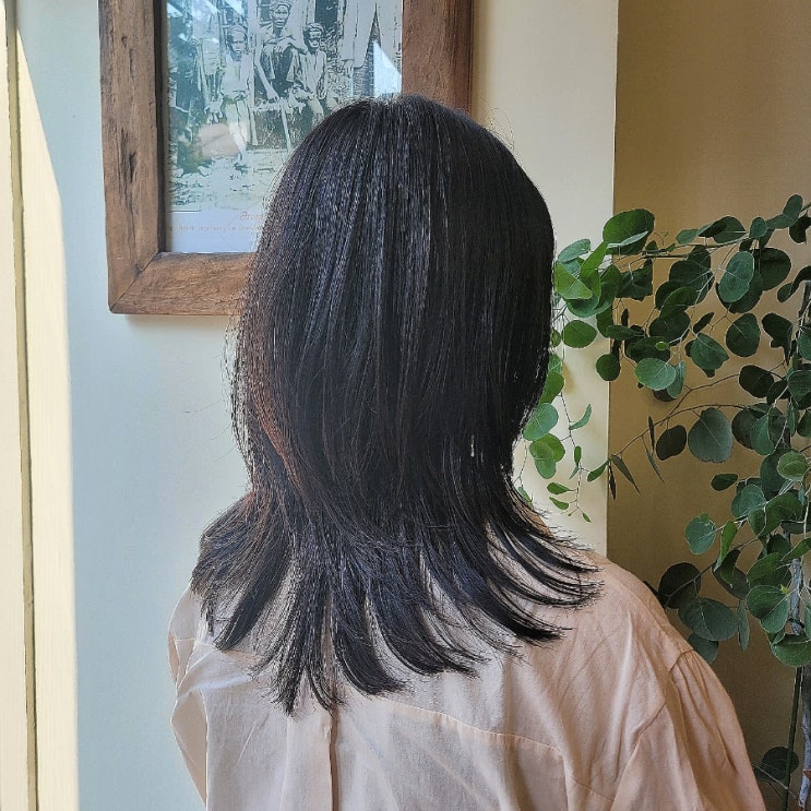  부평미용실 0.1헤어에서 허쉬컷과 펌 성공기
