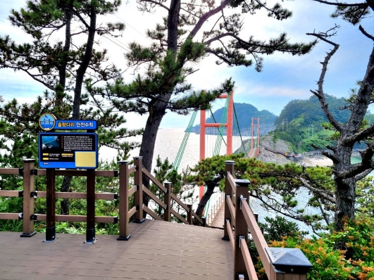  통영 만지도 출렁 다리, 화려한 외출, 통영의 섬 섬나들이 섬구경 짬뽕 해물 횟감 파전