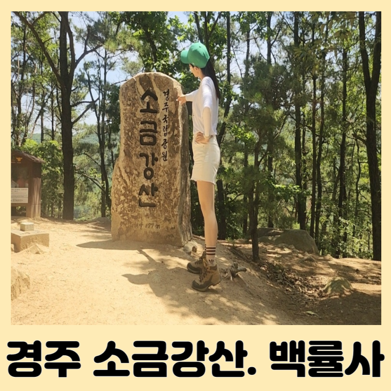 경주 국립공원 소금강산 백률사코스 시그니처 포즈