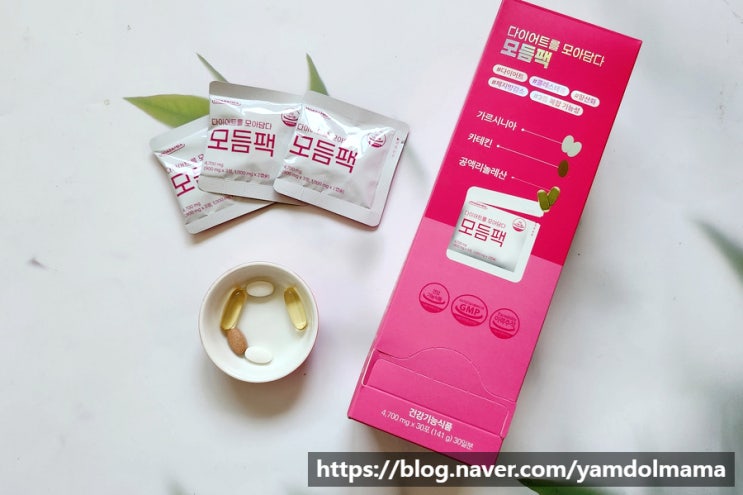  다이어트보조제 추천 다이어트를 모아담다 모듬팩