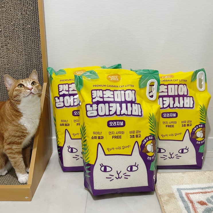 천연카사바 고양이모래 캐츠미어 냥이카사바
