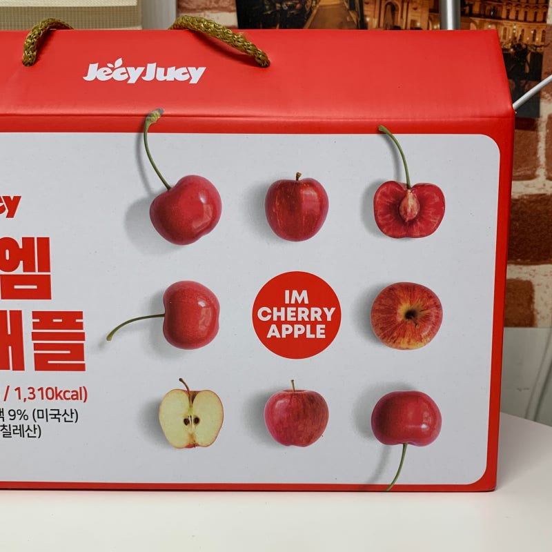 이미지 16308413