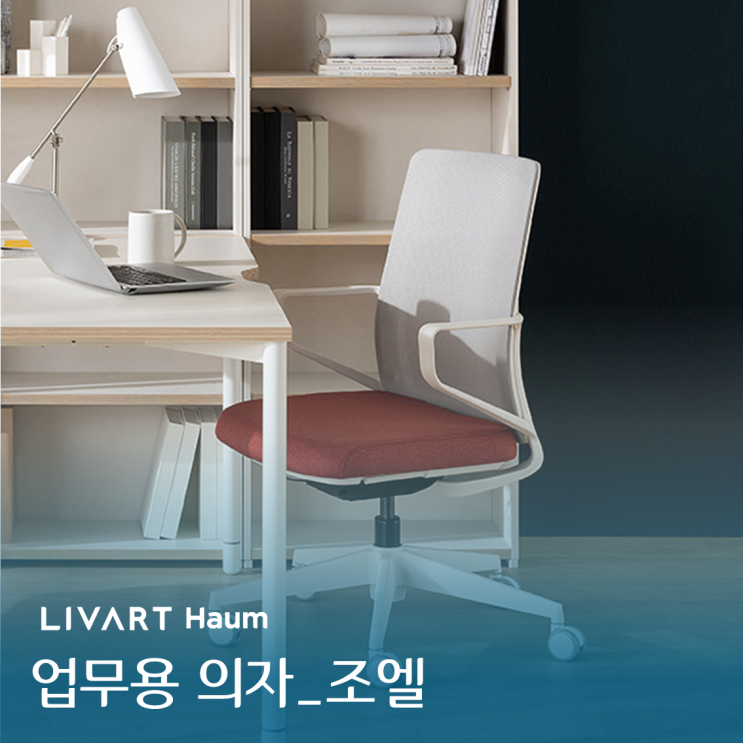 "심플한 디자인 의자" 편리한 사용성 합리적인 가격