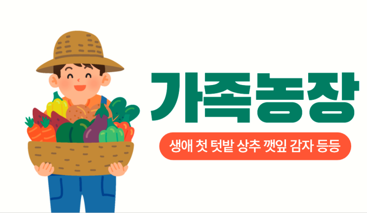 불볕더위 폭염주의보 가족농장 상추 토마토 감자 고추 애플수박 깻잎
