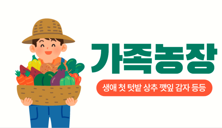  불볕더위 폭염주의보 가족농장 상추 토마토 감자 고추 애플수박 깻잎