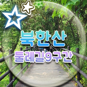  서울 산책로 9구간 마실길 역사적 명소와 보호수가 있어 뜻 있는 트레킹