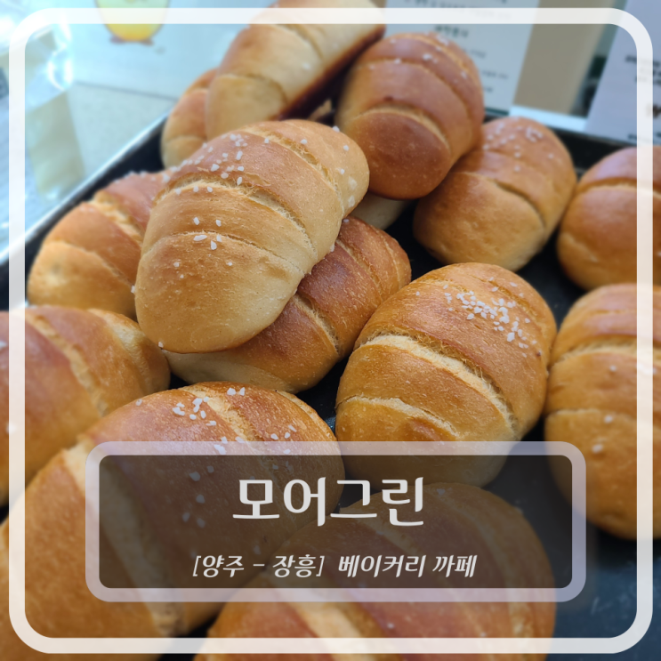  [양주 베이커리카페] 모어그린