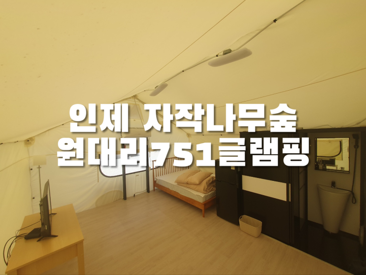  인제 신축 자작나무숲 원대리751글램핑