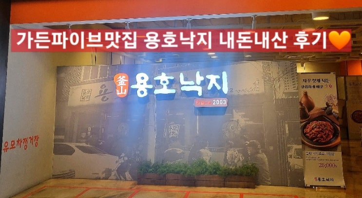 [가든파이브 맛집] 국내산 오동통한 매콤 낙지 맛집 용호낙지 내돈내산 후기