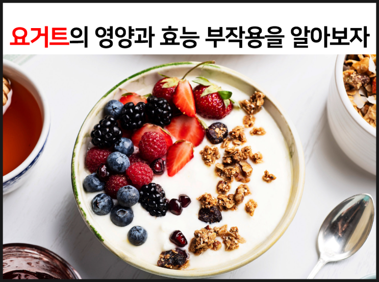  요거트의 영양과 효능 부작용을 알아보자