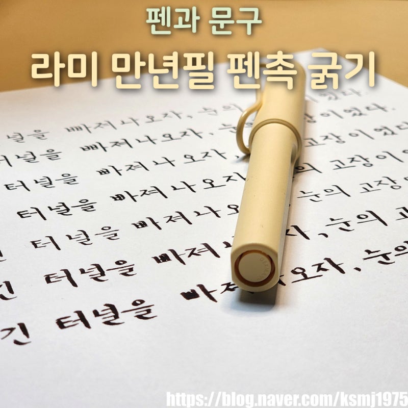 라미 만년필 펜촉 굵기 총정리 라미 펜촉 분해 방법 알아보기