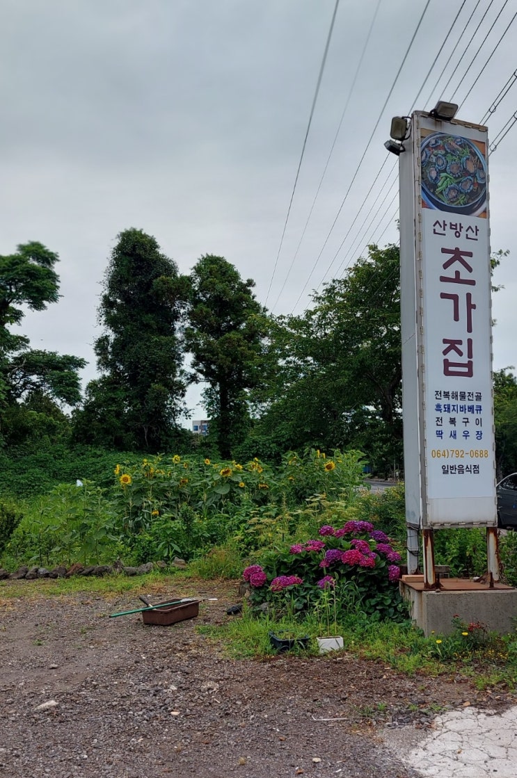 제주 산방산 맛집: 전복 해물뚝배기 맛있는 산방산초가집 제주 산방산 맛집: 전복 해물뚝배기 맛있는 산방산초가집