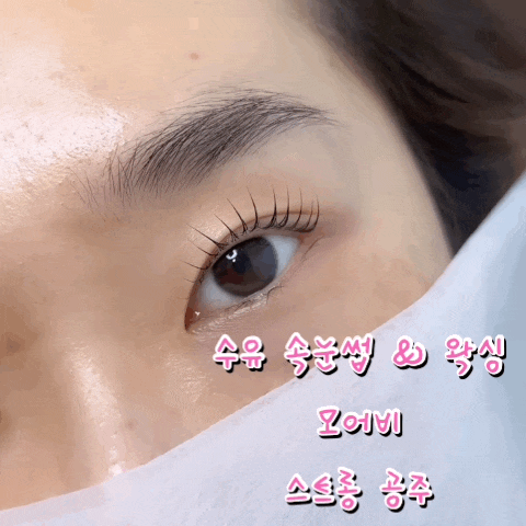  수유 속눈썹 모어비, 프리미엄 속눈썹펌 모어비케어펌 후기