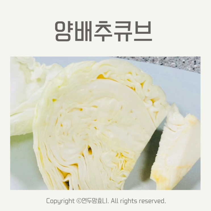 양배추큐브 아기 후기 이유식 야채큐브 만들기 보관기간 양배추큐브 아기 후기 이유식 야채큐브 만들기 보관기간