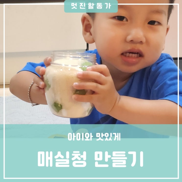 4세 유아 집콕요리활동 푸른보약 매실청 만드는 법 팁 보관방법 매실액 효능 매실청 키트 4세 유아 집콕요리활동 푸른보약 매실청 만드는 법 팁 보관방법 매실액 효능 매실청 키트