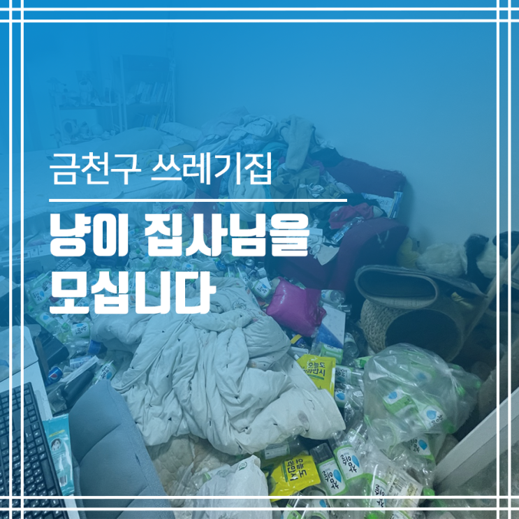  금천구 쓰레기집 청소 냥이 집사님 여기에요