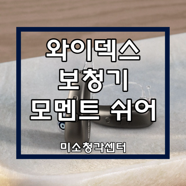  덴마크 와이덱스보청기 모멘트 쉬어 구입 후기