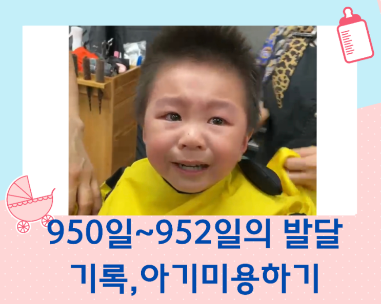  31개월 아이의 발달과 일상, 아기 미용실에서 이발하기, 950일~952일의 기록