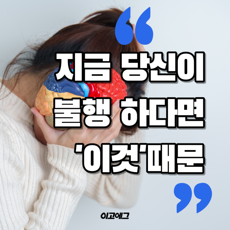  이고에그 EGOEGG | 불행에서 벗어나고 싶다면