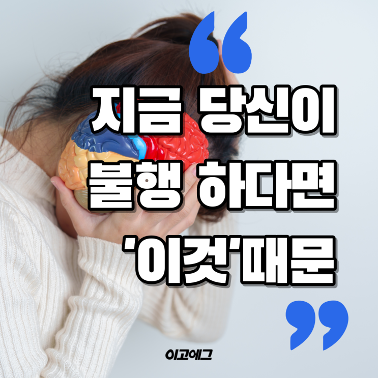 이고에그 EGOEGG | 불행에서 벗어나고 싶다면