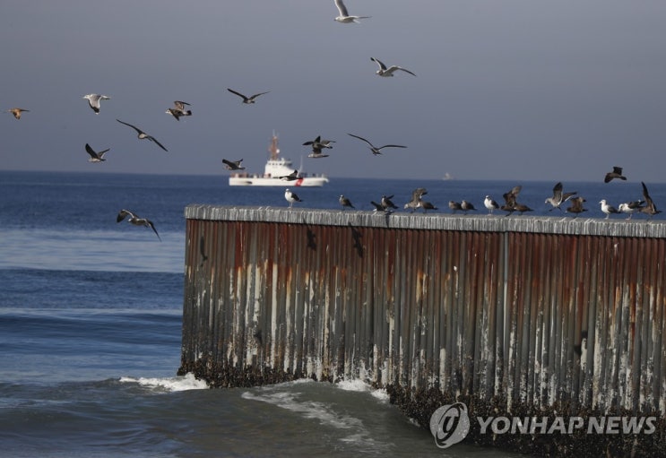 세계 해수 온도 급상승…기후재앙 '티핑포인트' 도달했나 세계 해수 온도 급상승…기후재앙 '티핑포인트' 도달했나