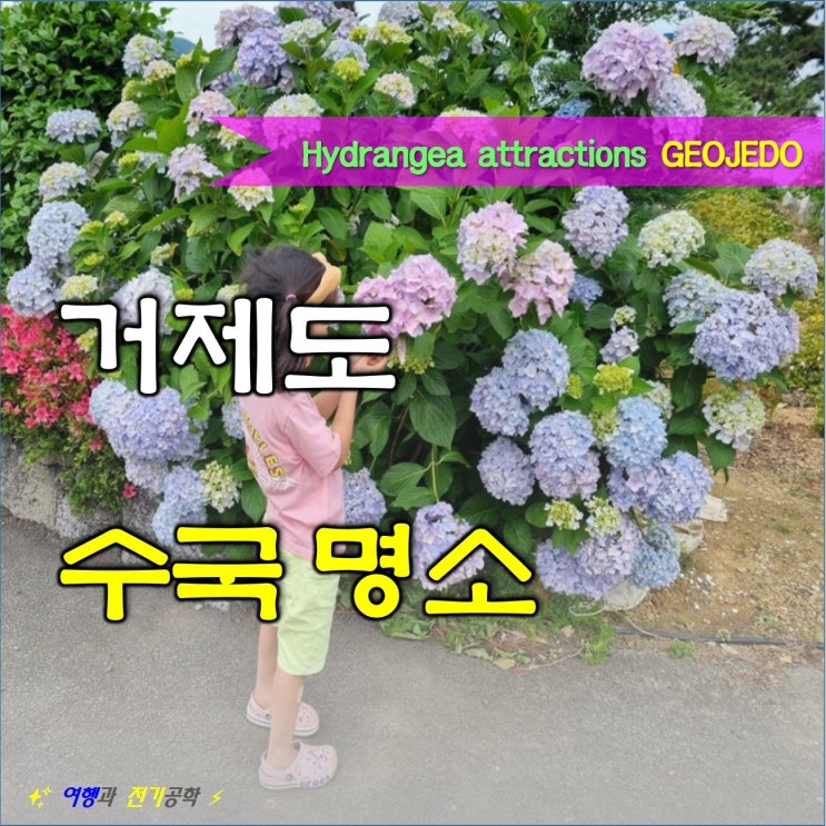  거제도 수국 예쁜 곳 명소 l 학동 파인비치 펜션 l 썬트리팜 리조트 카페