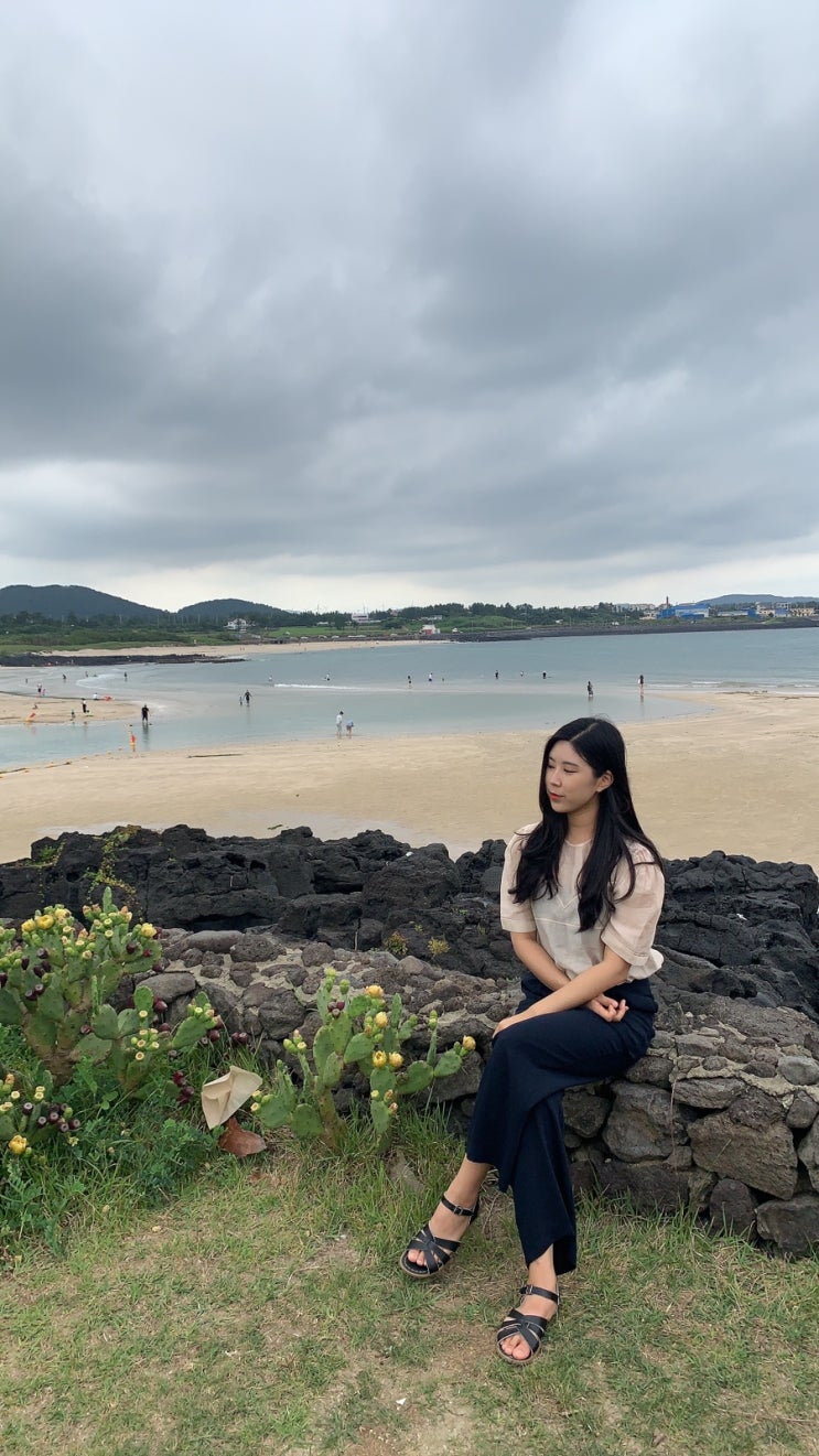  제주도 서귀포 표선 해수욕장 근처 카페 카페 가드니아, 코코티에