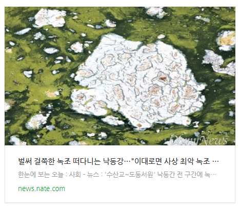 벌써 걸쭉한 녹조 떠다니는 낙동강…"이대로면 사상 최악 녹조 발생" 벌써 걸쭉한 녹조 떠다니는 낙동강…"이대로면 사상 최악 녹조 발생"