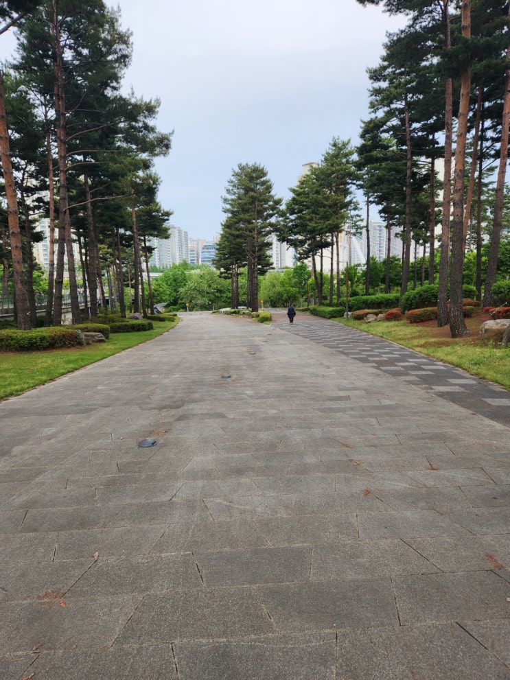  [운동,일상]마라톤 신청, 다시 시작 그리고 도전