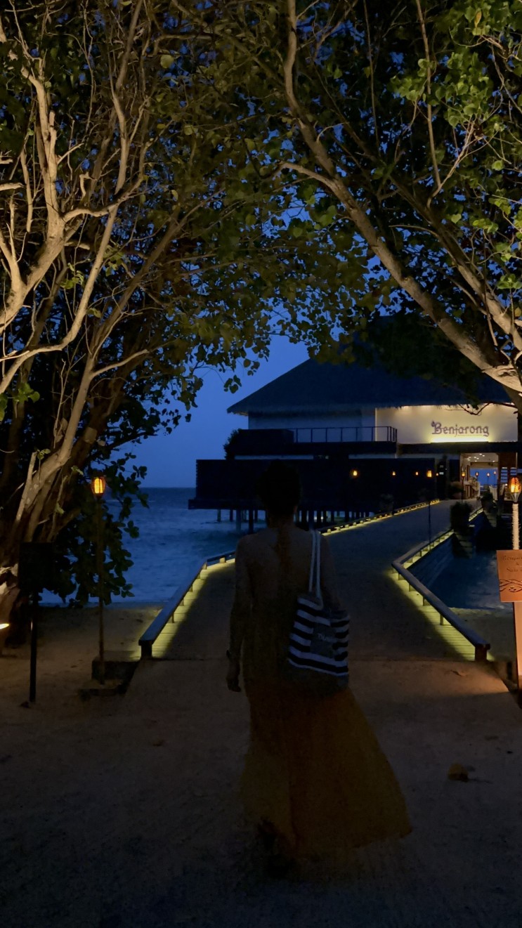 #8. 몰디브 두짓타니 식당 3탄 '벤자롱' : 거북이, 런치, 디너, 메뉴, 분위기