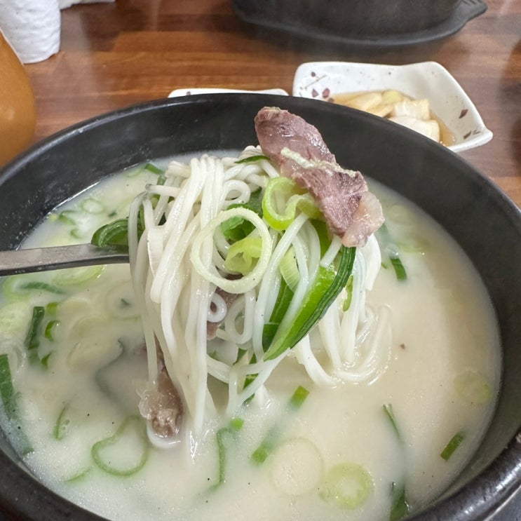  [천안/청당동 식당] 국물이 진한 설렁탕, 도가원