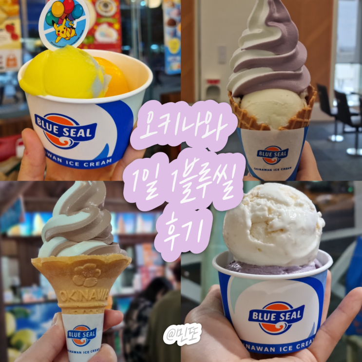 오키나와 1일 1블루씰 후기 :: 그래서 제일 맛있는 맛은?