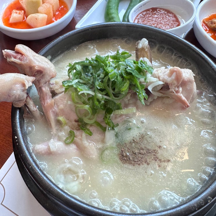  인천 송도 삼계탕 오이삼계탕 송도 보양식