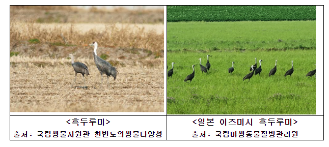 야생동물질병관리원, 일본 전문기관 및 지자체와 조류인플루엔자 공동대응 야생동물질병관리원, 일본 전문기관 및 지자체와 조류인플루엔자 공동대응